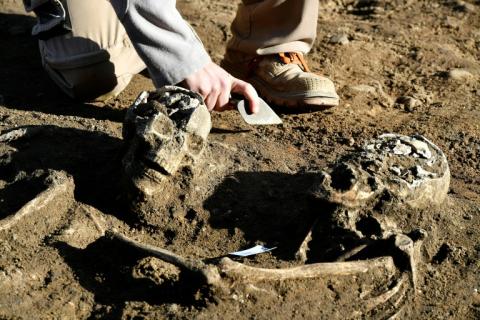 Des ossements humains sur un site archéologique à Bordeaux, le 6 décembre 2016