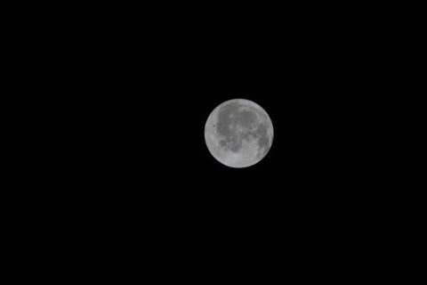 Vue de la Lune prise par l'équipage de la mission Artémis 2 de la Nasa, le 3 avril 2026