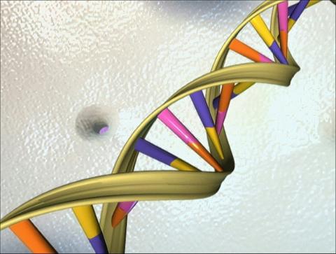 Illustration non datée de la double hélice d'ADN