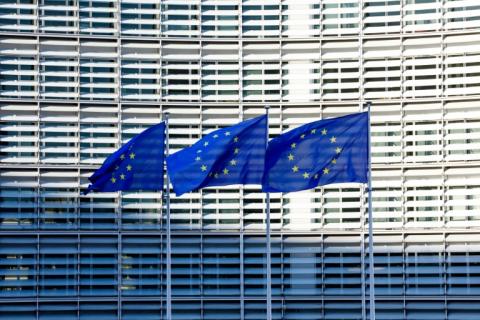 Le débat sur ces biotechnologies est tendu en Europe, où cette édition génomique est aujourd'hui classée dans la catégorie des OGM