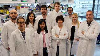 Les scientifiques du groupe Molecular Disease Mechanisms (MDM) de l’Université du Luxembourg
